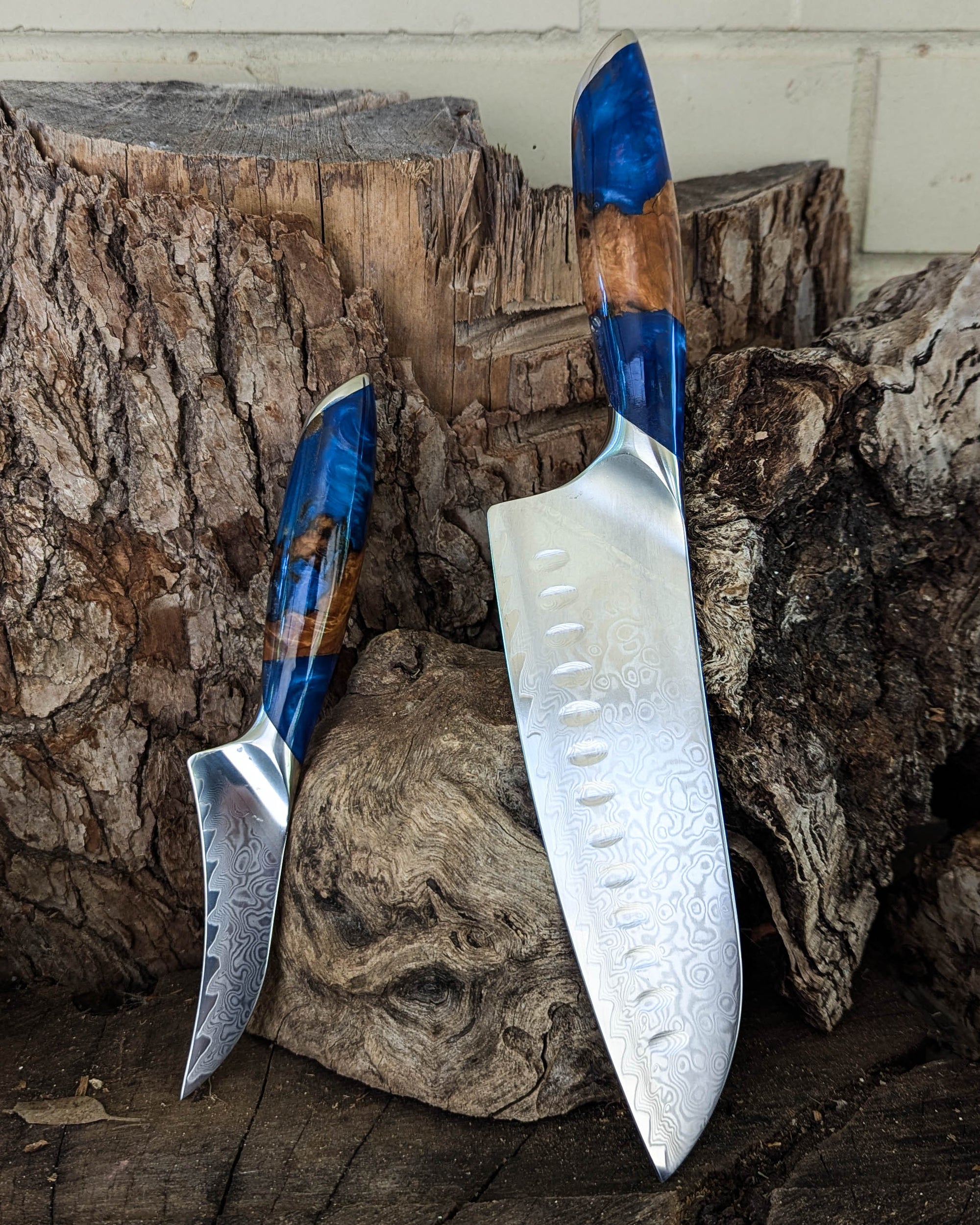 Premium Powdered Steel Santoku & Bird's Beak Mystery Burl w/ Blue Epoxy