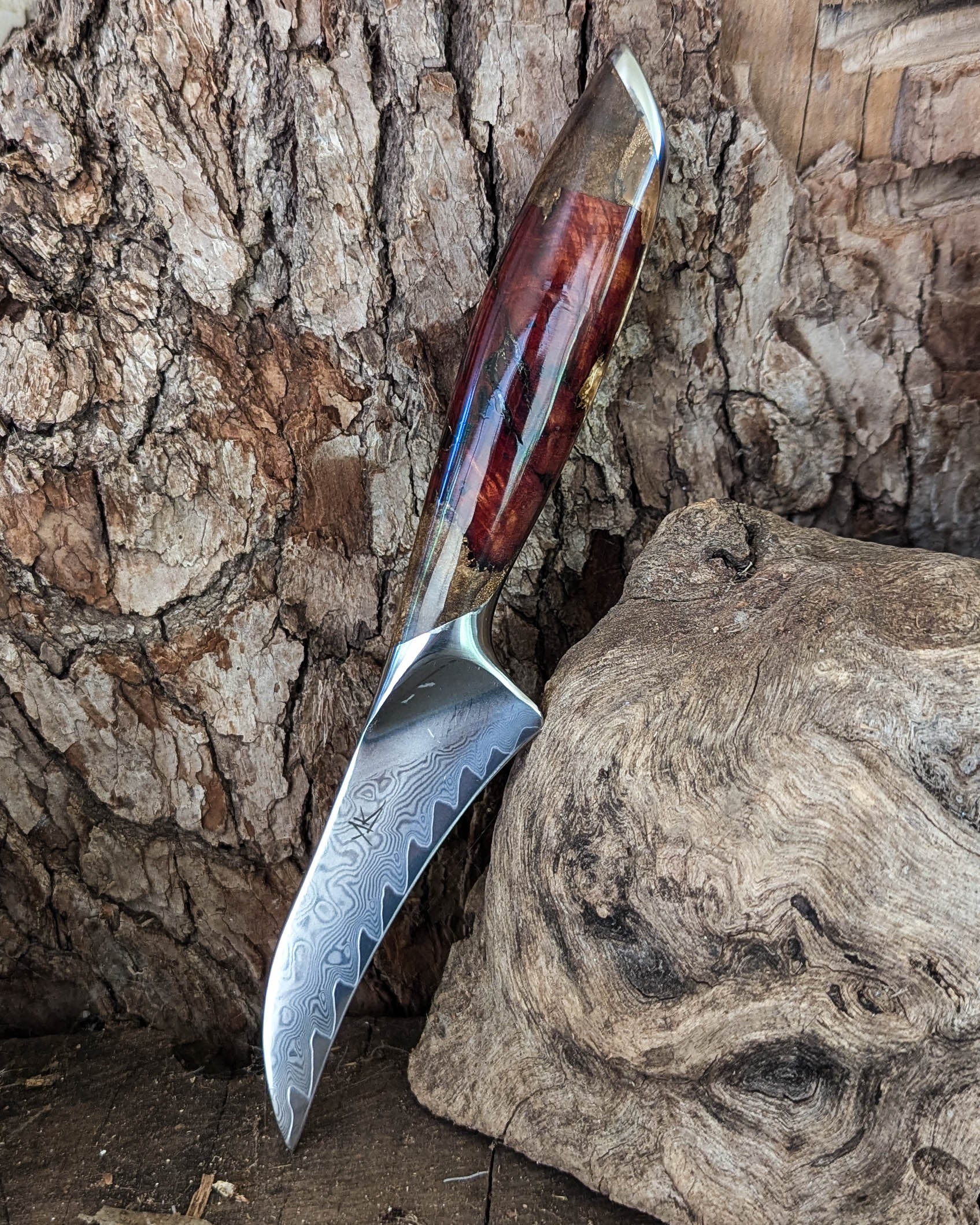 Premium Powdered Steel Bird's Beak Red Gum Burl w/ Copper Epoxy