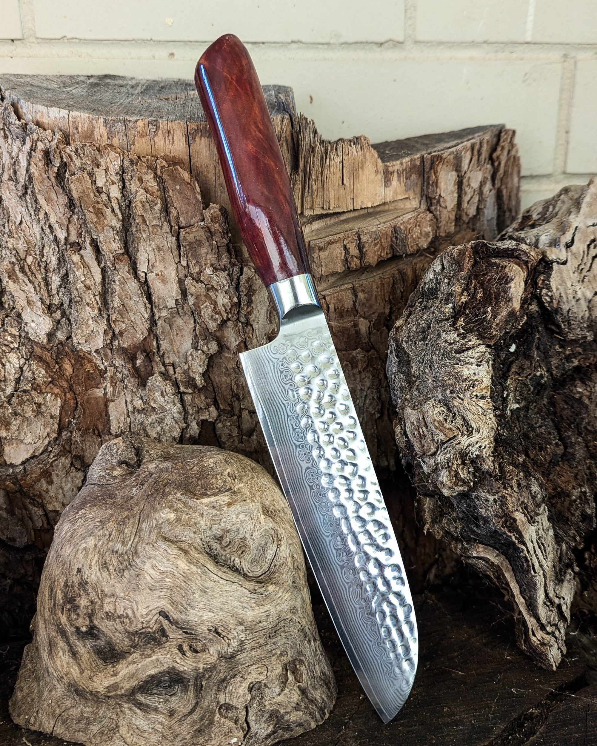 Santoku Knife Red Gum Burl 185mm (7.5")