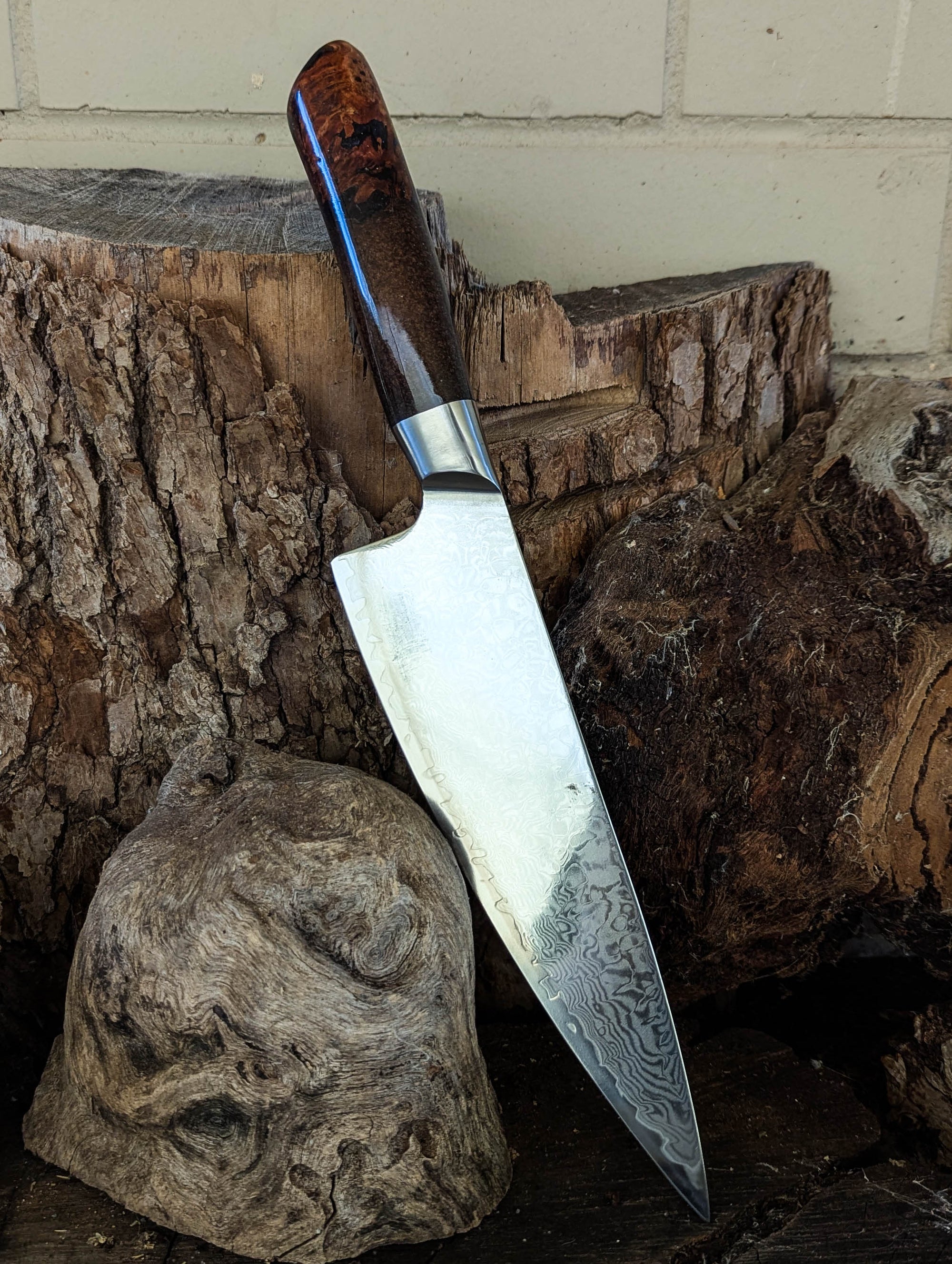 Premium Powdered Steel Chef's Stringybark Burl w/ Multi Colour Epoxy 210mm (8.5")