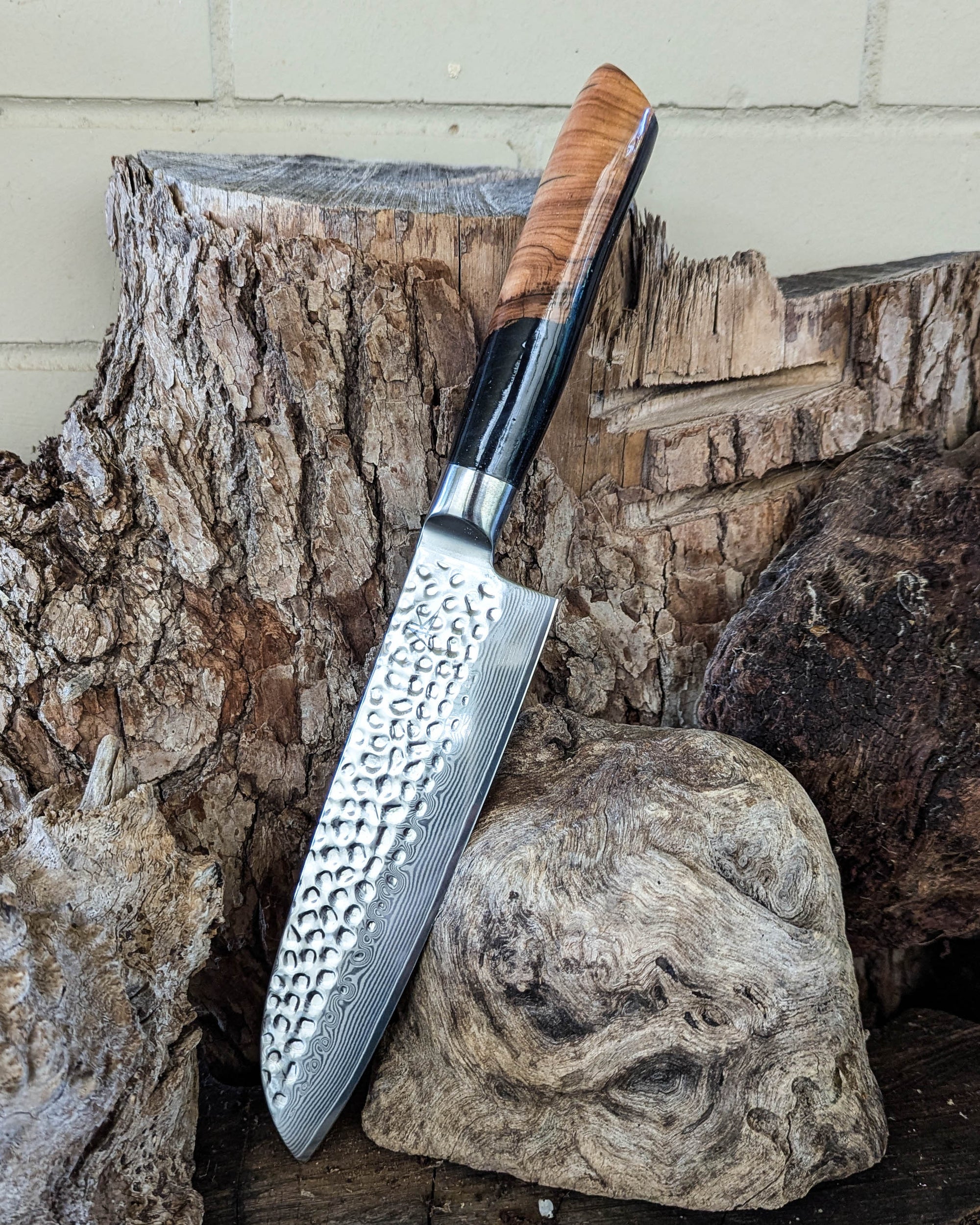 Santoku Knife Olive Timber w/ Black Epoxy 185mm (7.5")